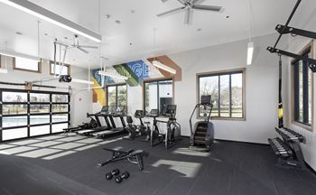 Fitness suite